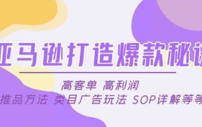 亚马逊打造爆款秘诀:高客单 高利润 推品方法 类目广告玩法 SOP详解等等