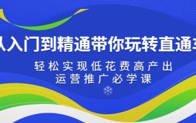 从入门到精通带你玩转直通车:轻松实现低花费高产出,35节运营推广必学课