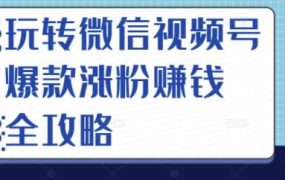 玩转微信视频号爆款涨粉赚钱全攻略,让你快速抓住流量风口,收获红利财富