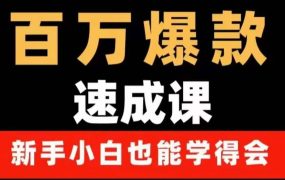 百万爆款速成课:用数据思维做爆款,小白也能从0-1打造百万播放视频