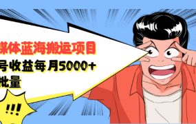 自媒体蓝海搬运项目,价值680元