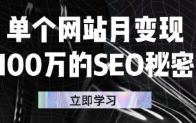 单个网站月变现100万的SEO秘密，百分百做出赚钱站点