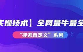 【实操技术】全网最牛最全的“搜索自定义”系列!价值698元