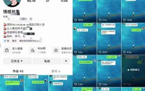 情感故事对话号教学,手机操作,吸粉能力超强的起号思路,值得学习