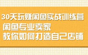 30天玩赚闲鱼实战训练营,闲鱼专业卖家教你如何打造自己店铺