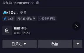 抖音音乐号 无人直播 u盘带货,教你如何通过抖音赚钱