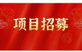 高鹏圈·蓝海中视频项目,长期项目,可以说字节不倒,项目就可以一直做!