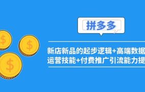 2022拼多多:新店新品的起步逻辑 高端数据化运营技能 付费推广引流能力提升