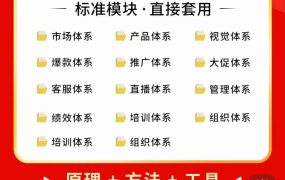 外面卖198·电商企业经营管理工具:全套执行落地方案 标准模块·直接套用