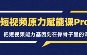 短视频原力赋能课Pro，把短视频能力基因刻在你骨子里的课（价值4999元）