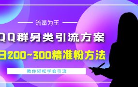 外面收费888元的QQ群另类引流方案:日200~300精准粉方法