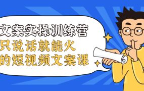 文案实操训练营,只说话就能火的短视频文案课