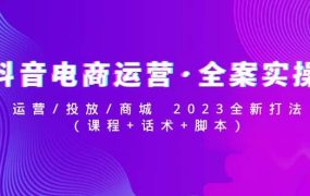 抖音电商运营·全案实操:运营/投放/商城 2023全新打法