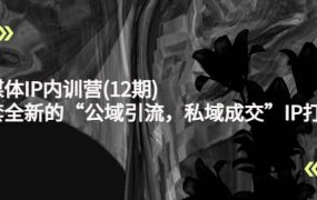 新媒体IP内训营(12期)，一套全新的“公域引流，私域成交”IP打法，直接带走