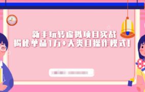 新手玩转虚拟项目实战,揭秘单品1万 大类目操作模式【视频课程】