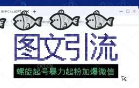 23年价值1980的图文引流创业粉螺旋起好技术暴力起粉加爆微信