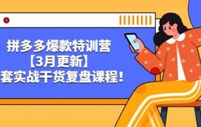 拼多多爆款特训营【3月更新】,全套实战干货复盘课程