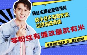 网红主播绝密短视频,纯小白不用写文案过原创培训课,零粉丝有播放量就有米