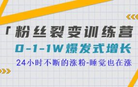 「粉丝裂变训练营」0-1-1w爆发式增长，24小时不断的涨粉-睡觉也在涨-16节课