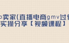 top卖家（直播电商gmv过亿）实操分享【视频课程】