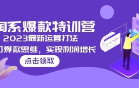 2023淘系爆款特训营,2023最新运营打法,学习爆款思维,实现利润增长