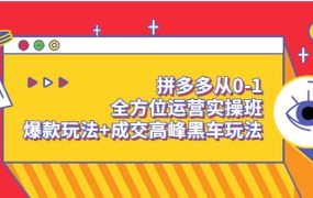 拼多多从0-1全方位运营实操班:爆款玩法 成交高峰黑车玩法(价值1280)