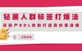 钻展人群标签打爆法,高投产ROL收割打造高权重店铺(全程实操)