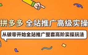 拼多多全站推广高级实操:从破零开始全站推广整套高阶实操玩法
