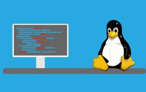 在Linux中如何格式化一个磁盘分区