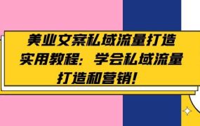 美业文案私域流量打造实用教程:学会私域流量打造和营销