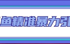 闲鱼精准暴力引流全系列课程，每天被动精准引流200 客源技术（8节视频课）