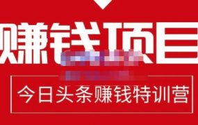 懒人领域·今日头条项目玩法,头条中视频项目,单号收益在50—500可批量