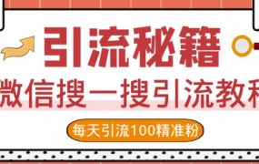 微信搜一搜引流教程，每天引流100精准粉