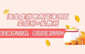 淘宝虚拟电商蓝海项目实战班 私教班