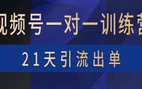 视频号训练营：带货，涨粉，直播，游戏，四大变现新方向，21天引流出单