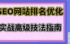 樊天华·SEO网站排名优化实战高级技法指南，让客户找到你
