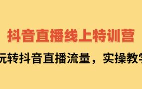 抖音直播线上特训营:玩转抖音直播流量,实操教学