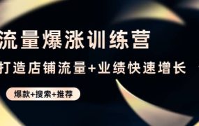 流量爆涨训练营:打造店铺流量 业绩快速增长 (爆款 搜索 推荐)