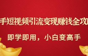 快手短视频引流变现赚钱全攻略:即学即用,小白变高手(价值980元)