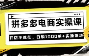 不灭《拼多多电商实操课》开店不迷茫，日销1000单 实操落地（价值299元）