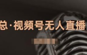 视频号无人直播带货,有微信就可以做,可以批量【视频课程】