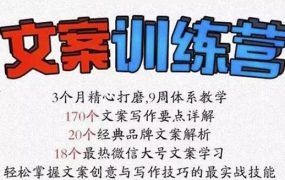 龙小天《文案训练营》全面系统解决文案写作难题!