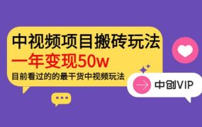 《老吴·中视频项目搬砖玩法,一年变现50w》目前看过的的最干货中视频玩法