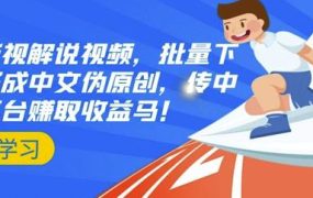 国外影视解说视频,批量下载翻译成中文伪原创,传中视频平台赚取收益
