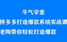 牛气学堂拼多多打造爆款系统实战课,老陶带你轻松打造爆款