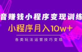 抖音小程序变现训练营：小程序各类玩法运营技巧变现