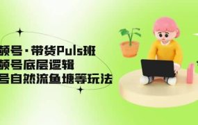 视频号·带货Puls班,视频号底层逻辑,起号自然流鱼塘等玩法