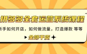 拼多多全套运营系统课程:新手如何开店 如何做流量 打造爆款 等等 全部干货