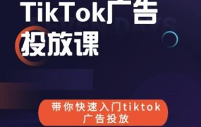 跨境B哥tiktok广告投放课,带你快速入门tiktok广告投放价值1680元