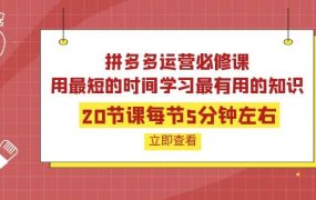 拼多多运营必修课:20节课每节5分钟左右,用最短的时间学习最有用的知识